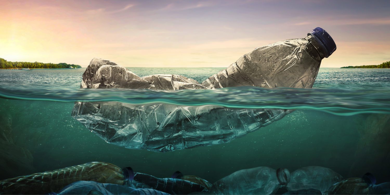 Wie der Müll unsere Umwelt belastet