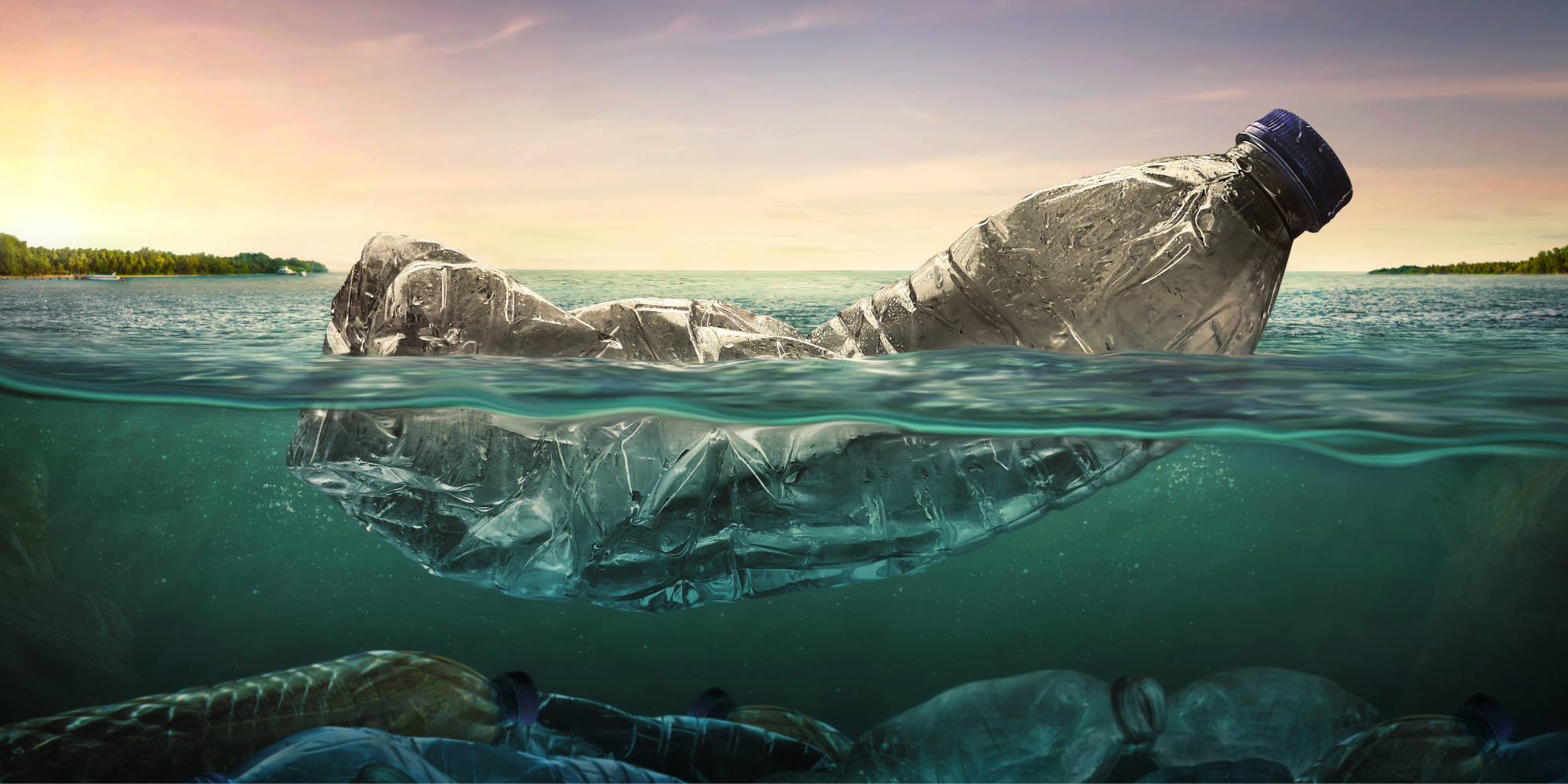 Wie der Müll unsere Umwelt belastet