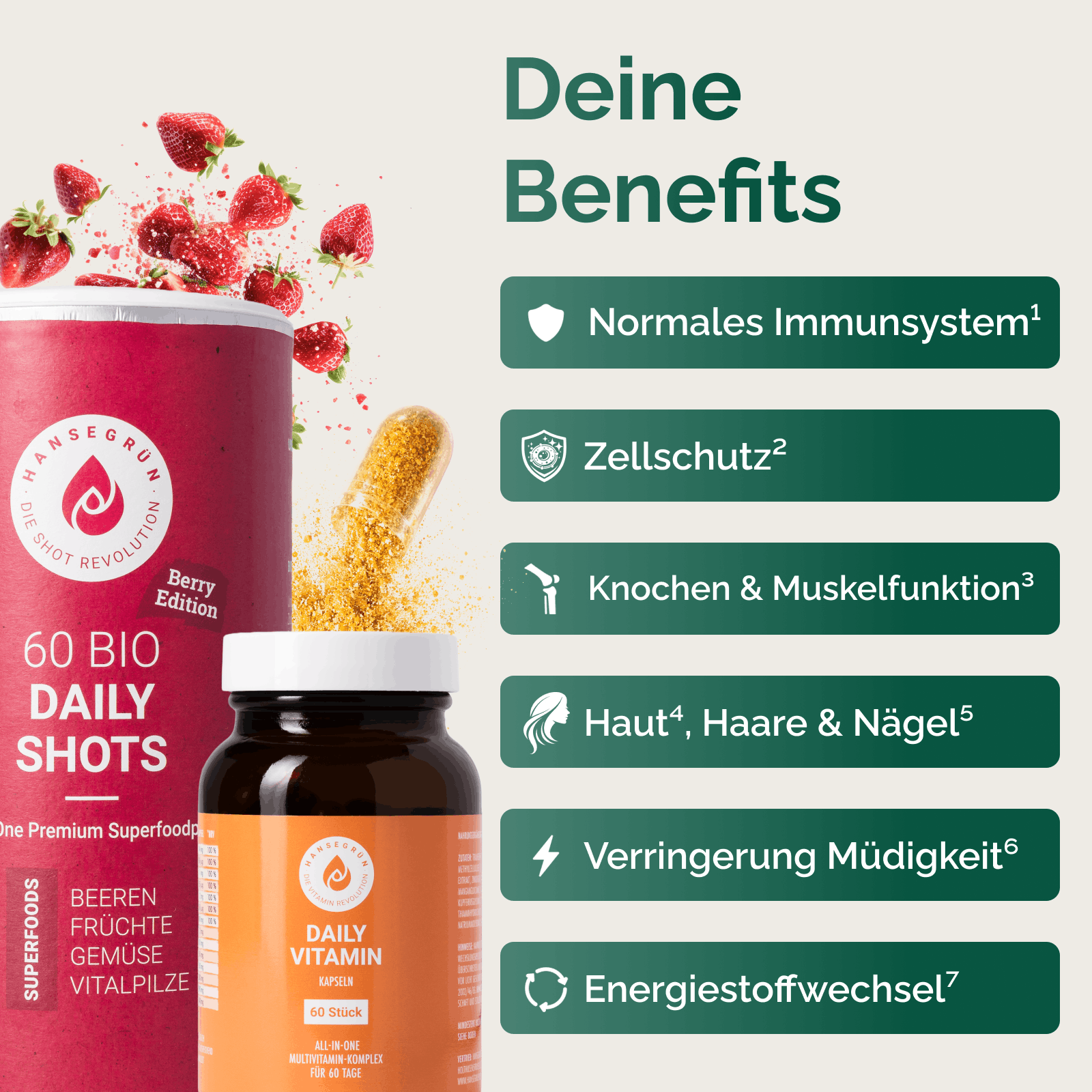 DAILY KENNLERNSET