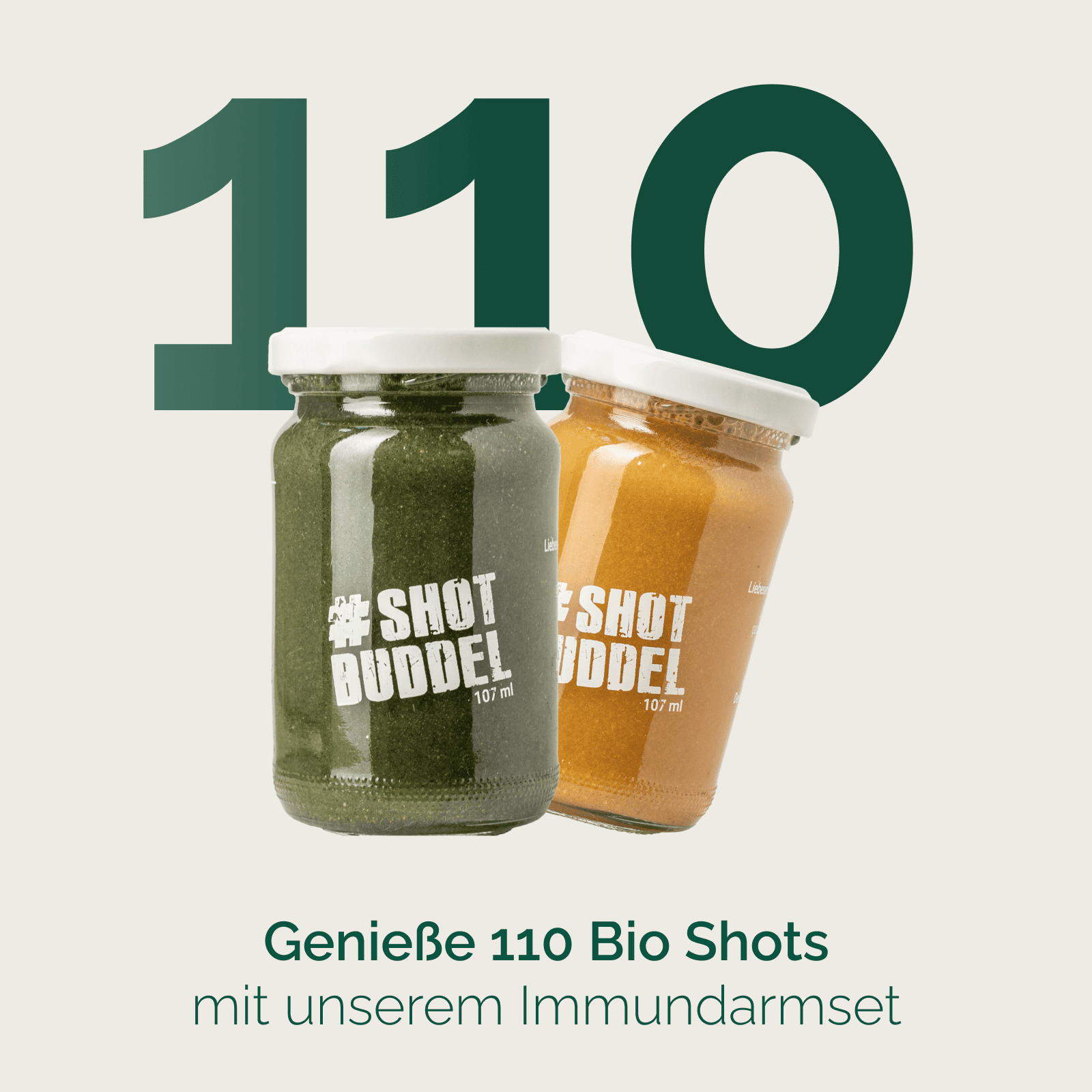 IMMUNDARMSET - INGWER & DARM