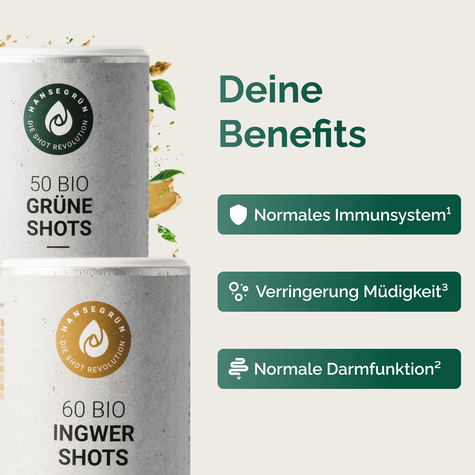 IMMUNDARMSET - INGWER & DARM
