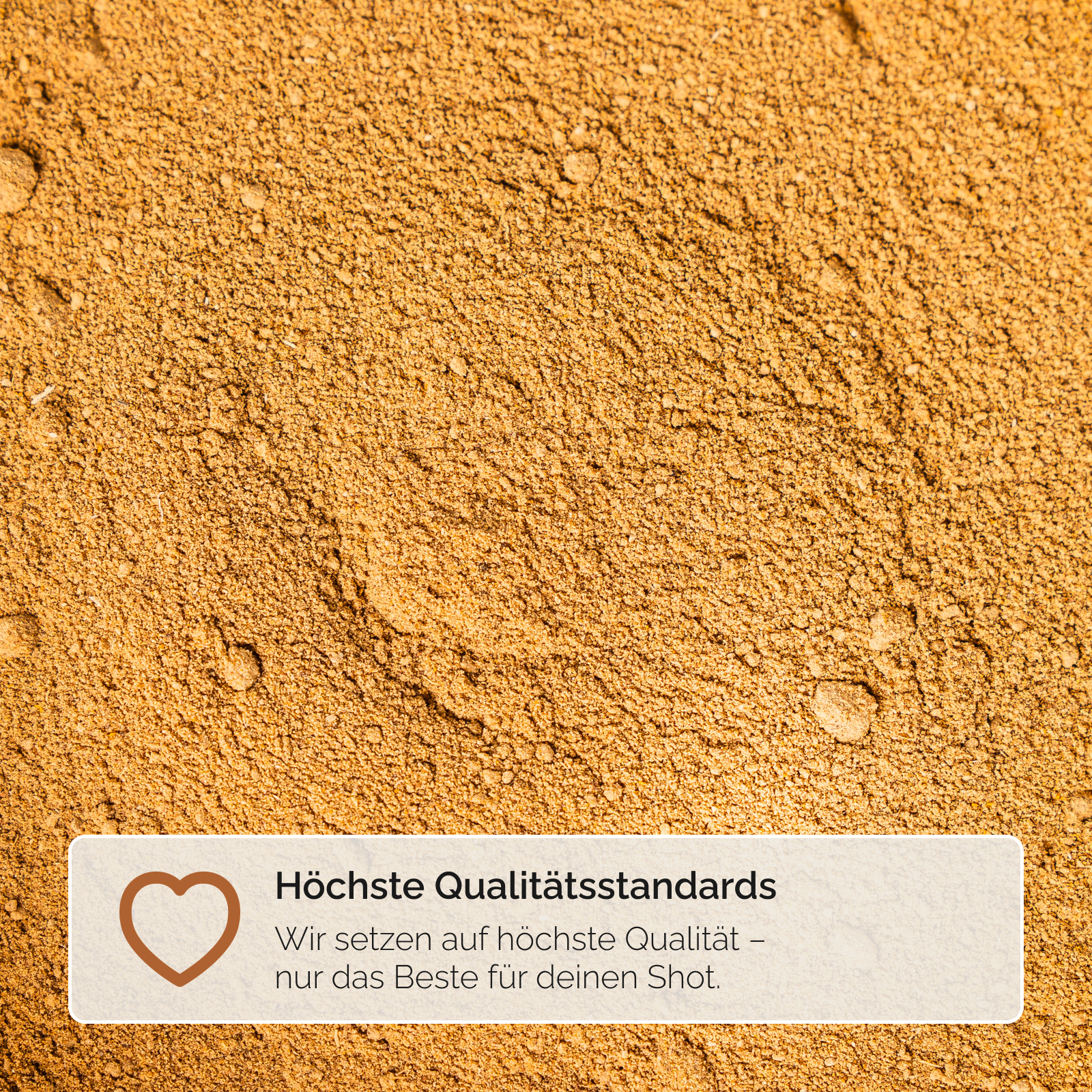 KENNLERNSET INGWER SHOTS