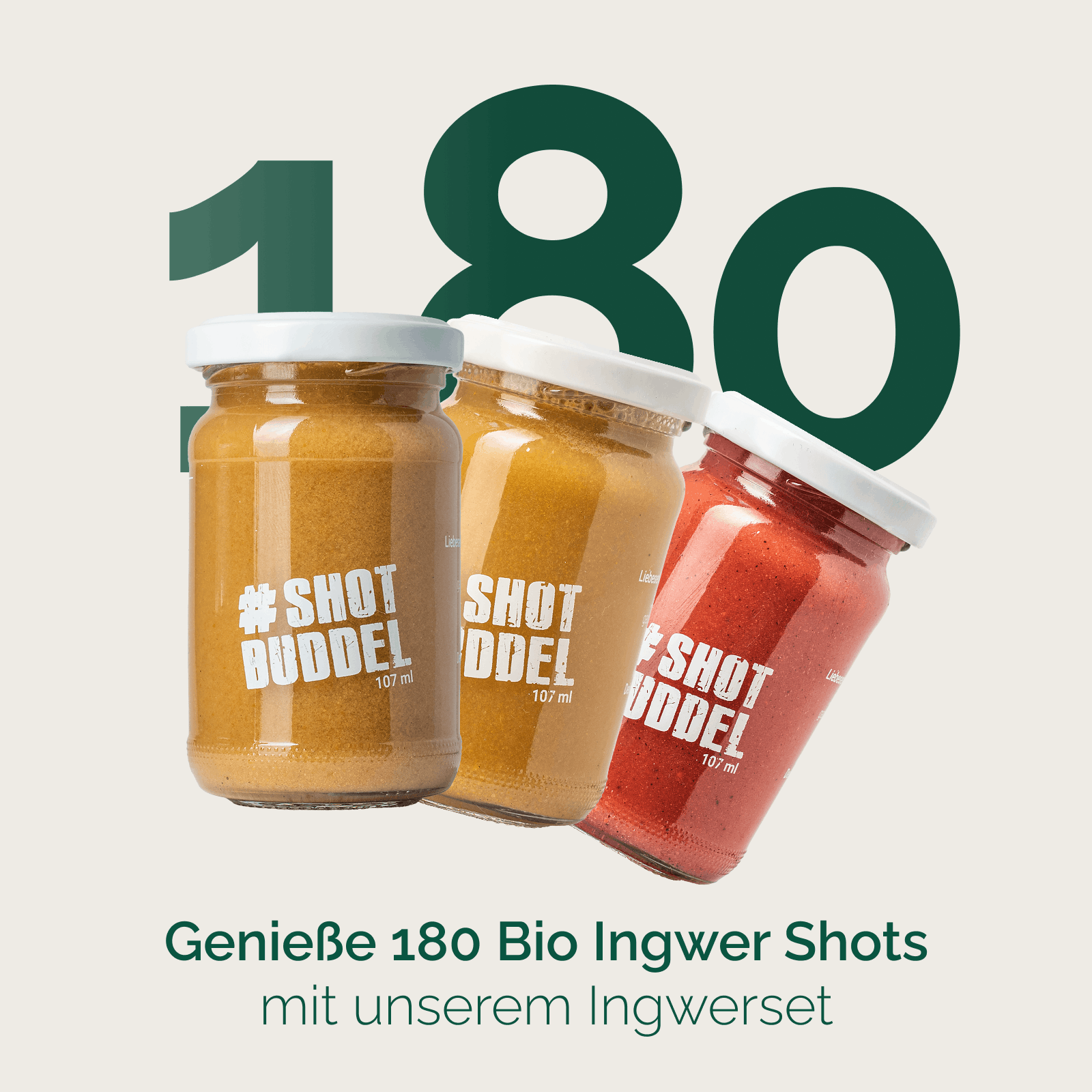INGWER PROBIERSET