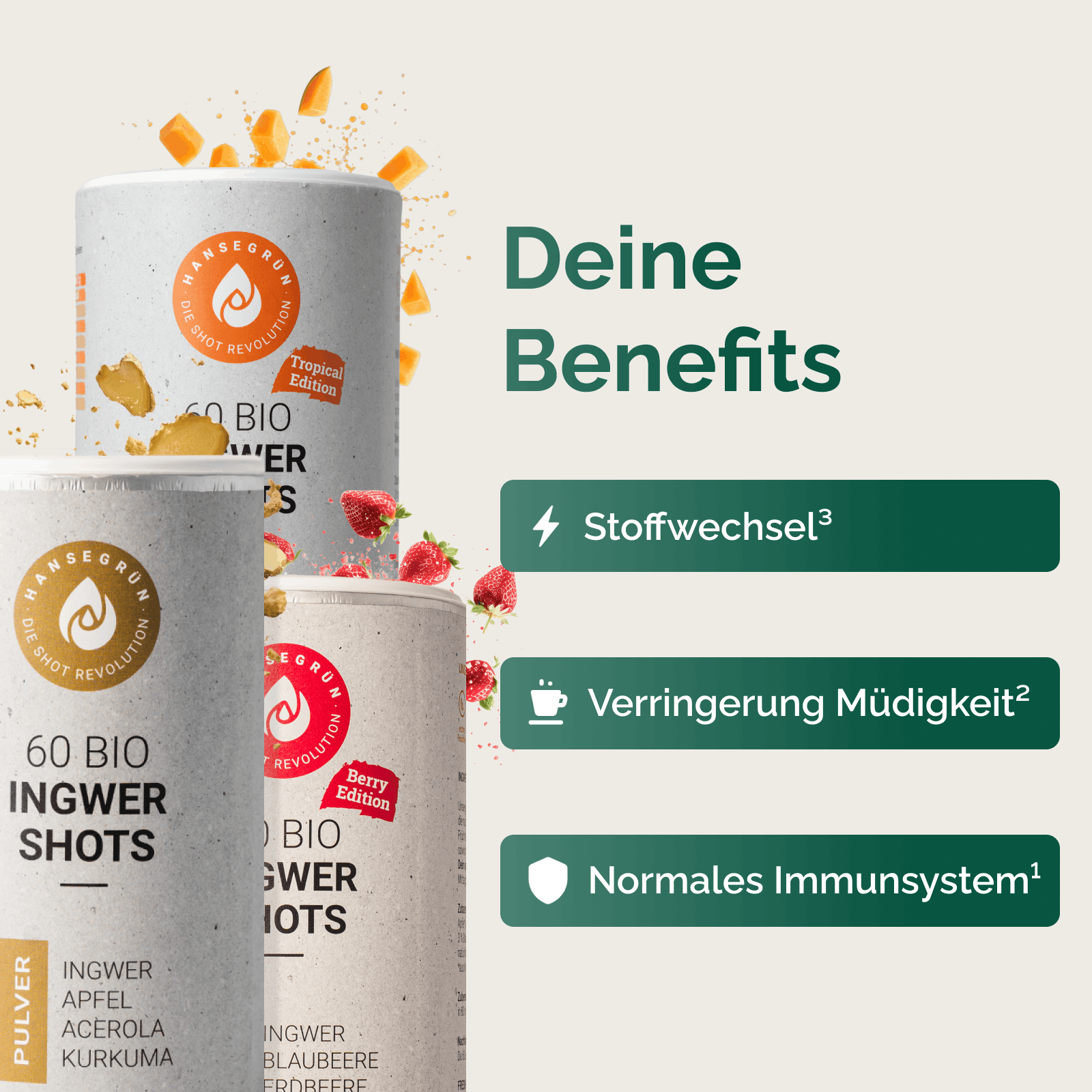 INGWER PROBIERSET
