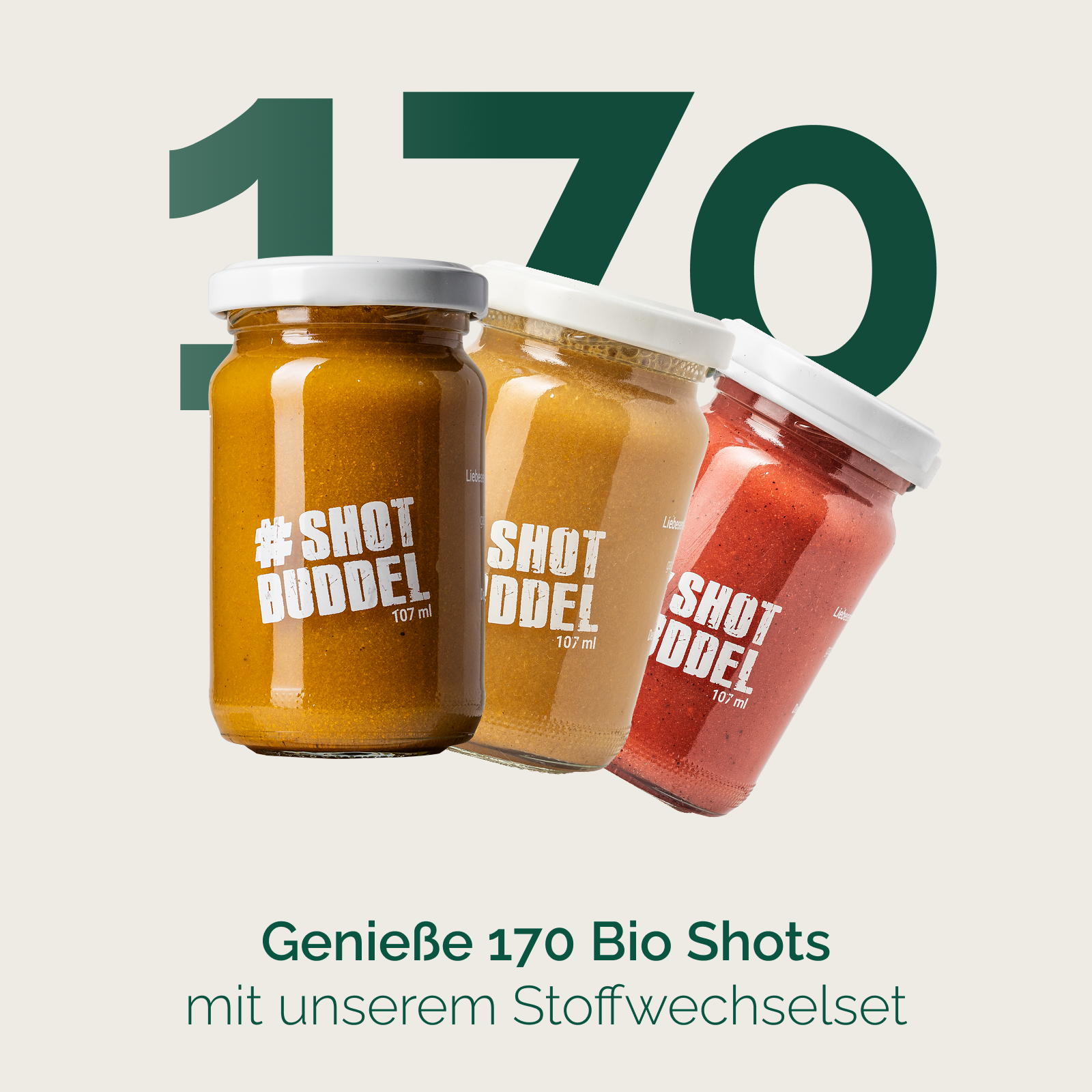 INGWER STOFFWECHSELSET