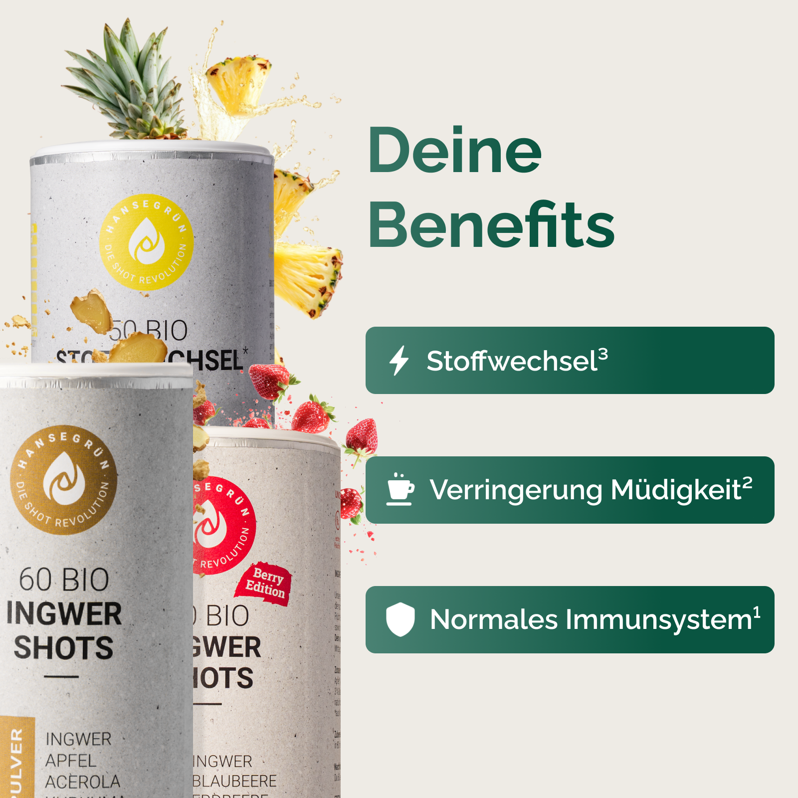 INGWER STOFFWECHSELSET
