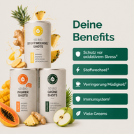 SOMMER-SET