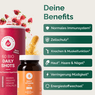 DAILY KENNENLERNSET