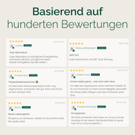 DAILY KENNENLERNSET