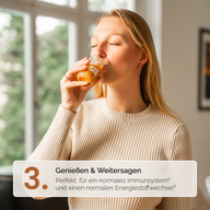 INGWER ZIMT SHOTS