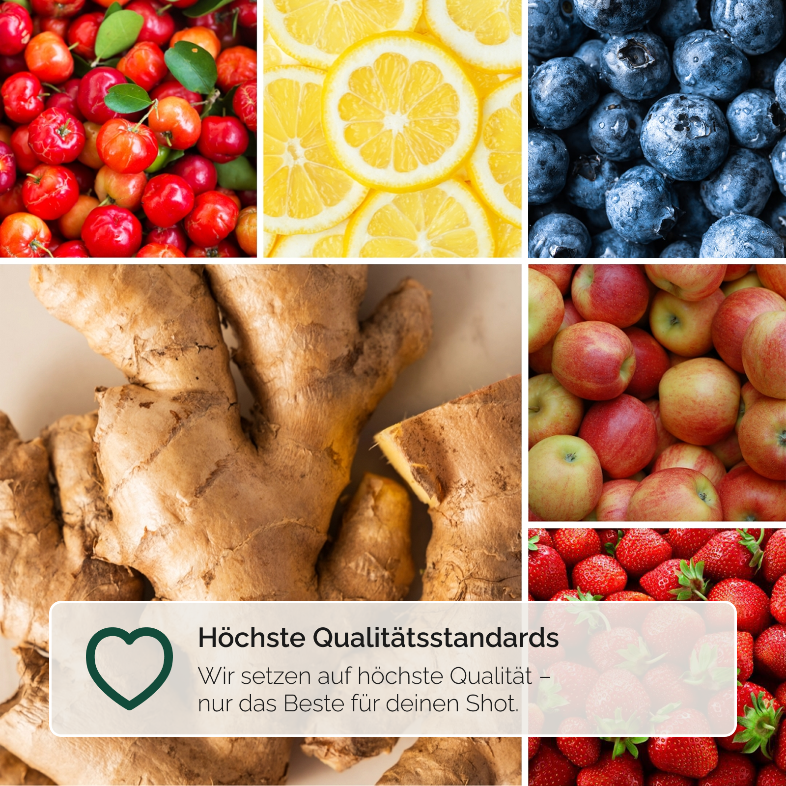 KENNLERNSET INGWER SHOTS