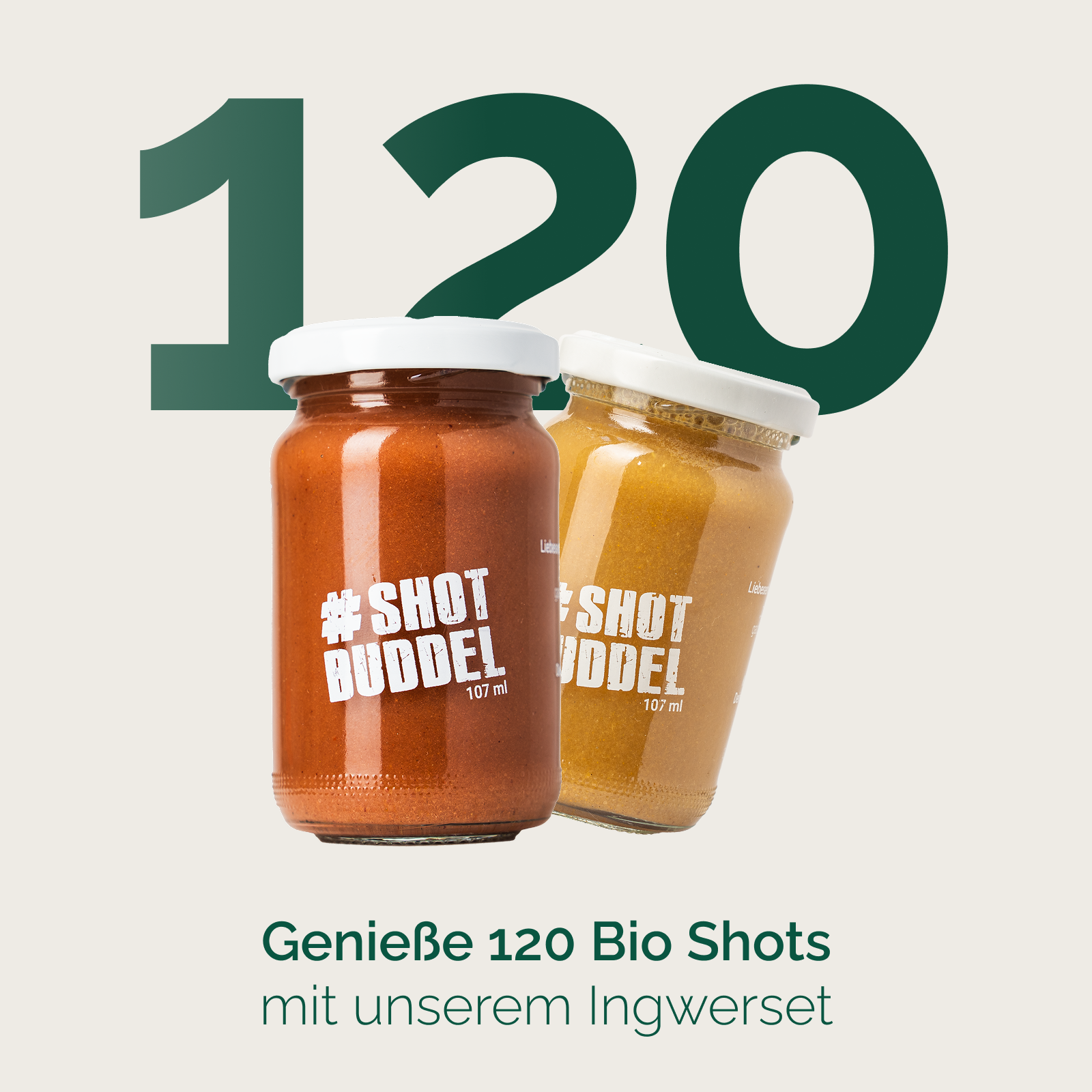 KENNLERNSET INGWER SHOTS