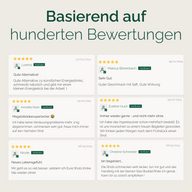KENNENLERNSET INGWER SHOTS