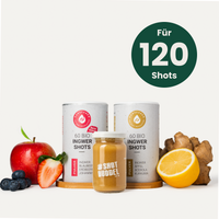 KENNLERNSET INGWER SHOTS