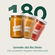 KENNLERNSET INGWER SHOTS
