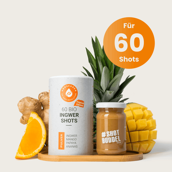 INGWER TROPICAL SHOTS