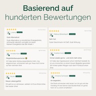 XXL BESTSELLERSET