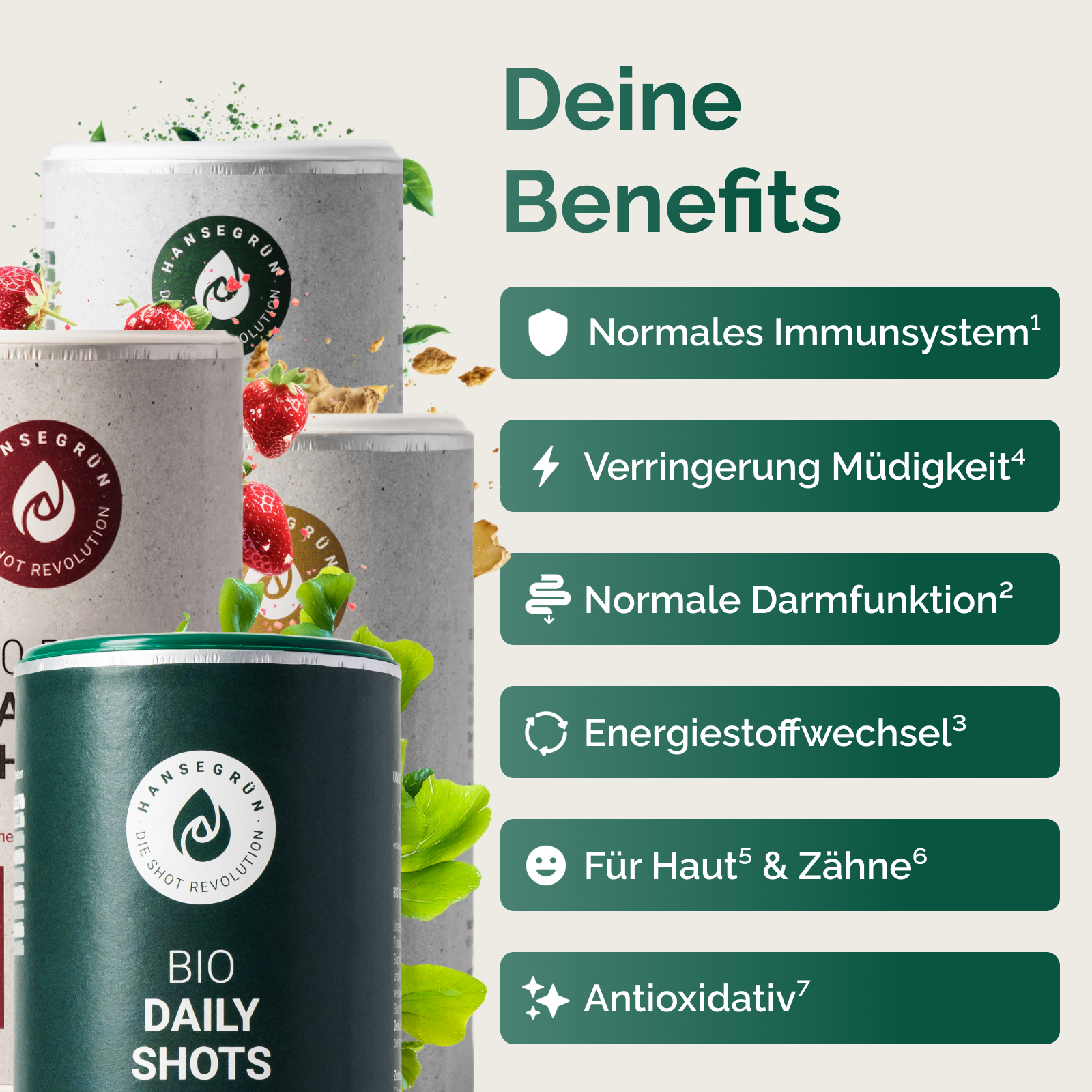 LÖWEN BESTSELLERSET