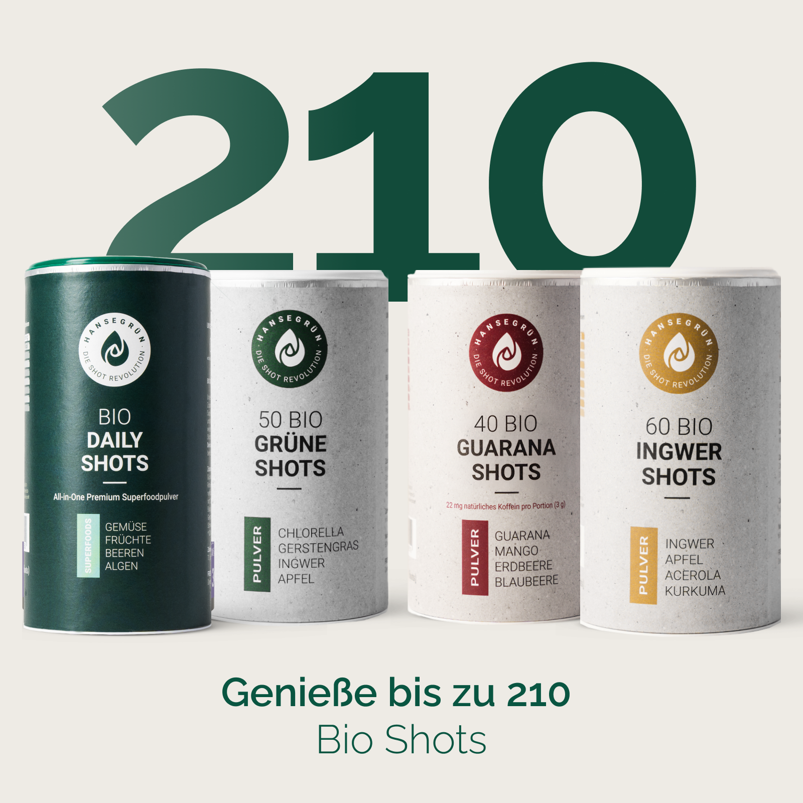 LÖWEN BESTSELLERSET